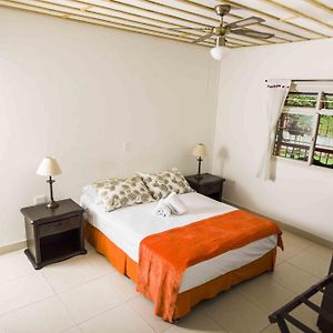 Habitación Individual Estándar
